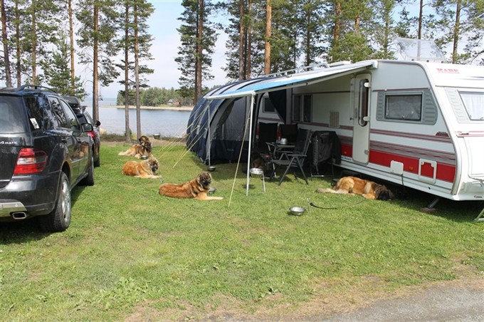 Bovikens camping Skellefteå